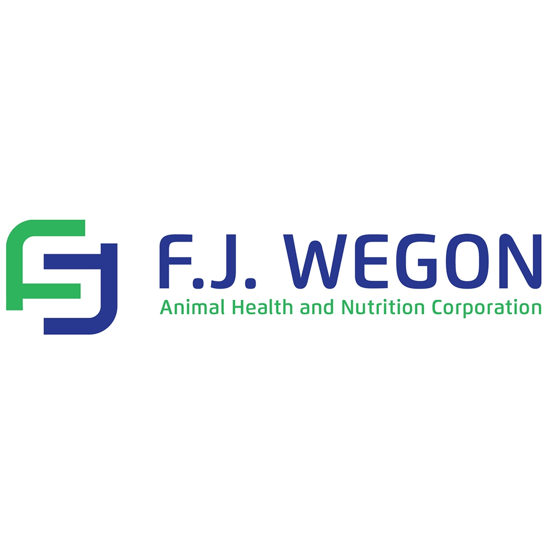 FJ Wegon